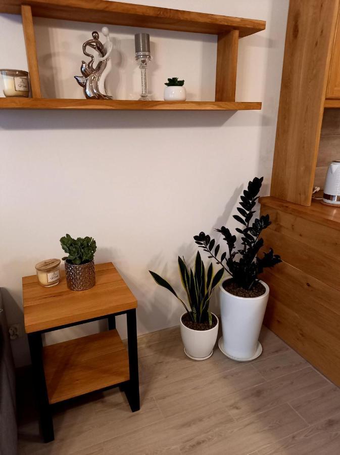 Apartament Green Park Starogard Gdański Esterno foto